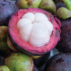250x250 Essential Superfood