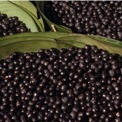 Superfood Essential 250x250